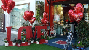 Holland Blumen Marbella