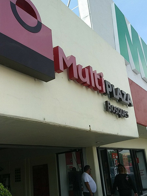 Multiplaza Bosques