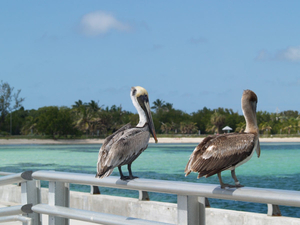 Key West