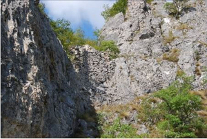 Bihor Fortress
