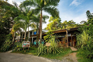 Selina Bocas del Toro, Red Frog