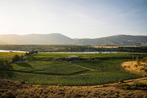 Bald Hills Winery