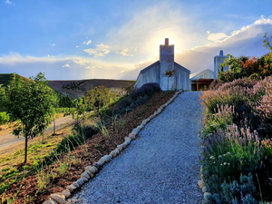 Domaine-Thomson Wines