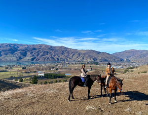 Golden Hills Horse Treks