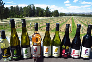 Immigrants Vineyard