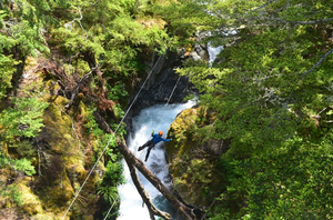 Paradise Ziplines