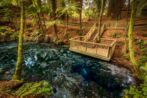 Hamurana Springs