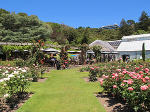 Best Wellington Cafes