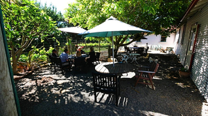 Tiwaiwaka Wines