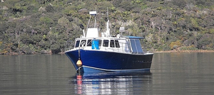Wellington Fishing Charters