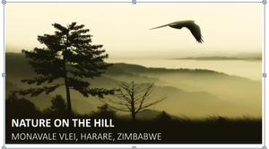 Nature On The Hill