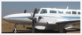 Falcon Charters