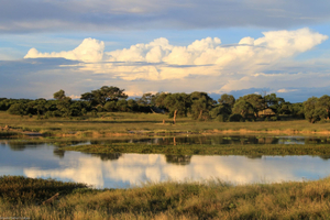 Jozibanini Lodge