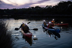 Anglesea: excursión nocturna en kayak bajo las estrellas