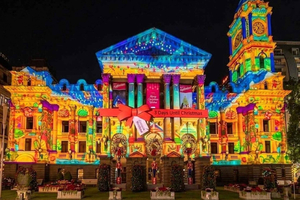 Christmas Lights Tour with Guide