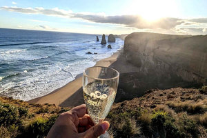 Vanuit Melbourne: Great Ocean Road, dingo's, mousserende wijn en lunch