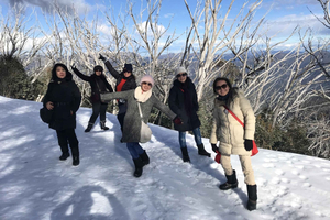 Von Melbourne aus: Mt Buller Snow Day Kleingruppen-Boutique-Tour