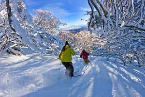 From Melbourne - Mt Buller Village Express Coach Transfer
