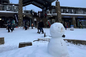 From Melbourne - Private Mt Buller Day Trip with Guide