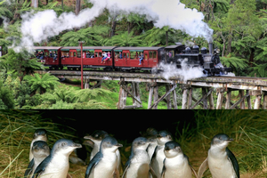 From Melbourne: Puffing Billy and Penguin Parade Combo Tour