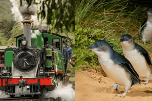 Au départ de Melbourne : Circuit combiné Puffing Billy & Penguins