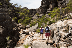 Visite d'une journée en petit groupe au parc national des Grampians