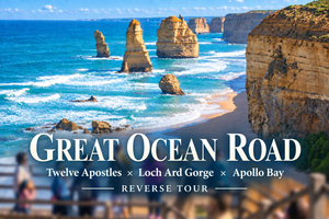 Great Ocean Road Tour, 12 Apostles & Apollo Bay