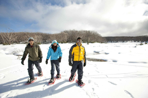 Lake Mountain Snow Play & Waterfalls Tour