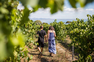 Melbourne: Smaksløype for mat og vin rundt bukten