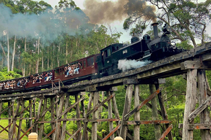 Melbourne : Demi-journée à bord du train à vapeur de Puffing Billy