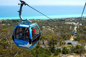 Melbourne: Viagem privada à Península Mornington inclui ingressos