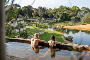 Melbourne: Peninsula Hot Springs with Lunch and Wine