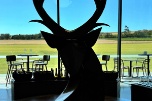 Melbourne : dégustation privée de vins dans la vallée de Yarra