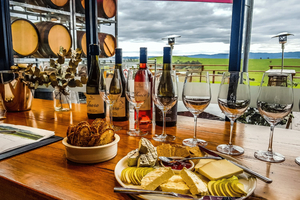 Melbourne: Wycieczka po winnicach Yarra Valley z degustacją wina, ginu, serów/owoców i czekolady
