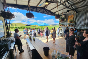 Melbourne: Yarra Valley vin-, gin-, whisky- og sjokoladetur