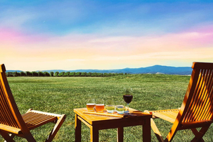 Melbourne: Yarra Valley Wine Tour & Lunch & Gin/Beer Option