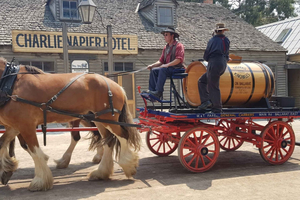 Sovereign Hill & 12 Apostel Private Tour - Bis zu 14 Personen
