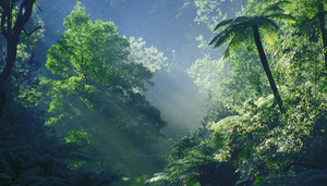 ¿Qué tan verde es tu viaje?