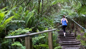 1000 Steps