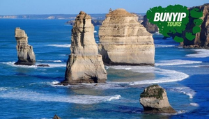 Bunyip Tours