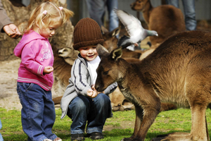 Excursion d'une journée : Sovereign Hill & Ballarat Wildlife Park