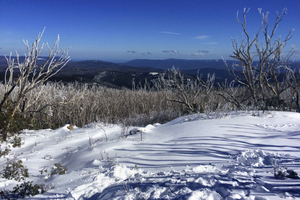 From  Lake Mountain Snow Experience