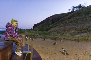 From  Penguin Parade and Koalas Tour