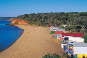 Van Private Mornington Peninsula dagtour