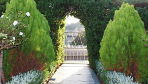 Little Auberge
