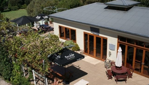 Morning Sun Vineyard