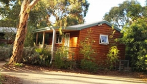 Ocean Hideaway Cabins
