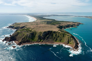 Vol panoramique en hélicoptère sur la côte de l'île Phillip