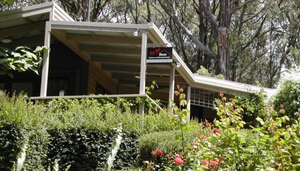 Red Hill Cheese
