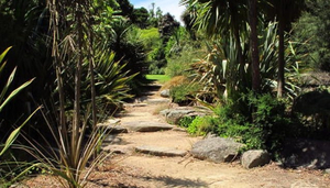 Royal Botanic Gardens